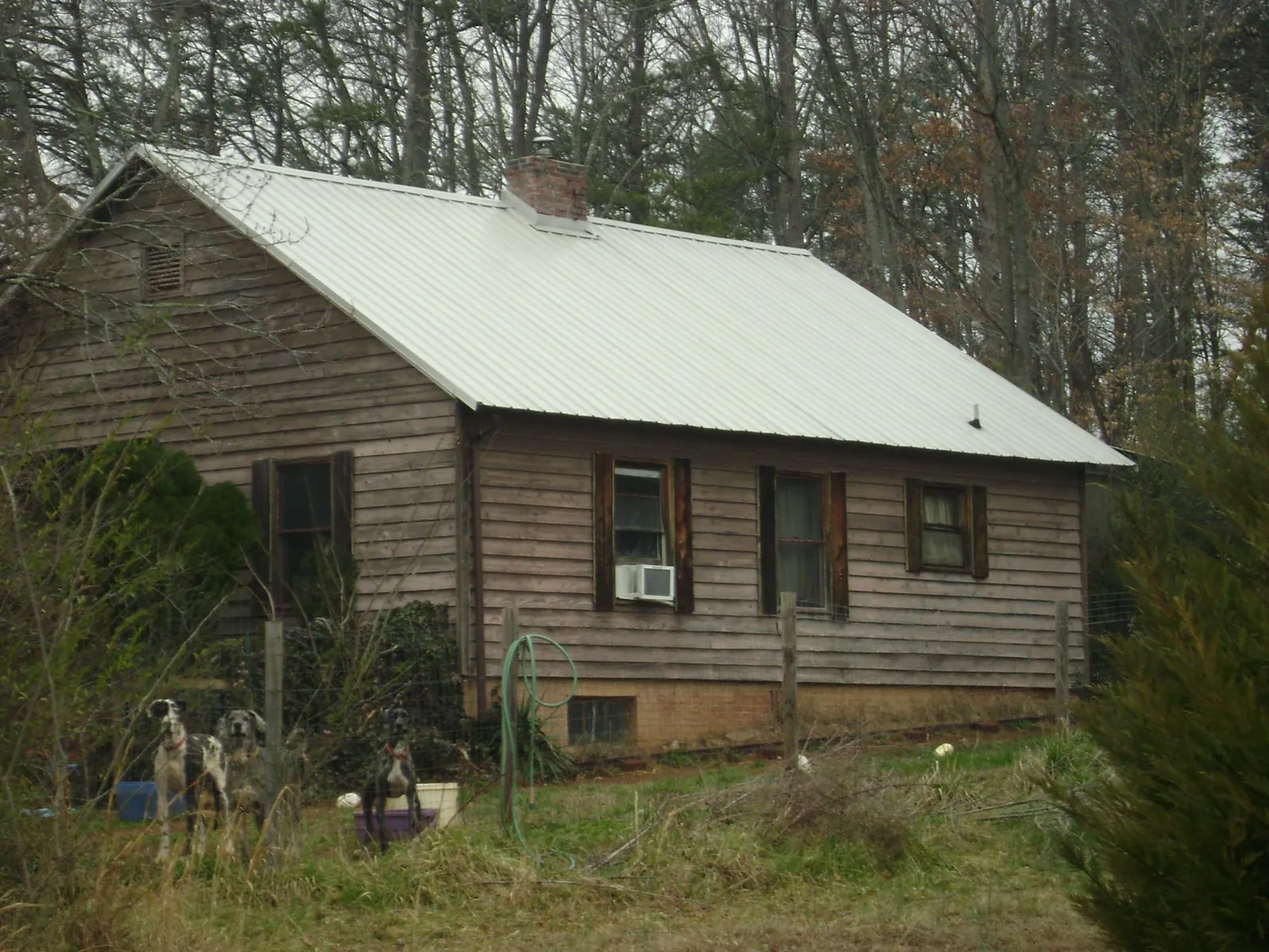 White metal roof on an old wood sided farmhouse, from a Asphalt Shingle Roof Repair job in Naugatuck
